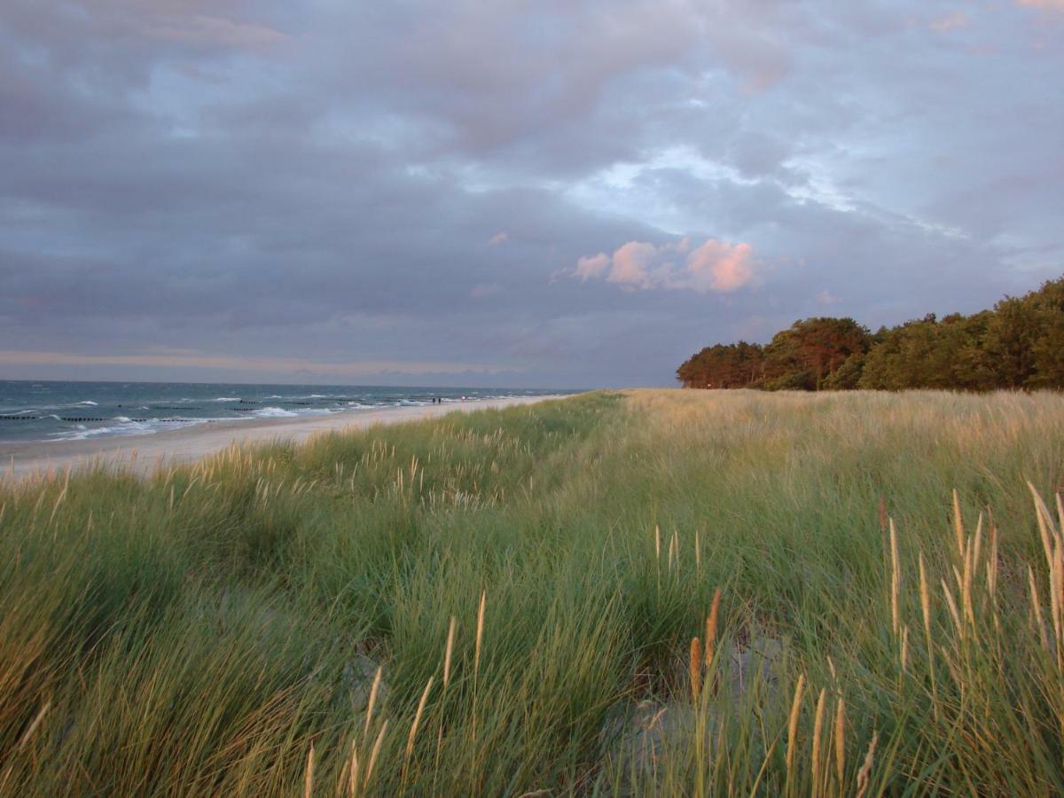 Ferienwohnung Am Strand Zingst Exterior foto